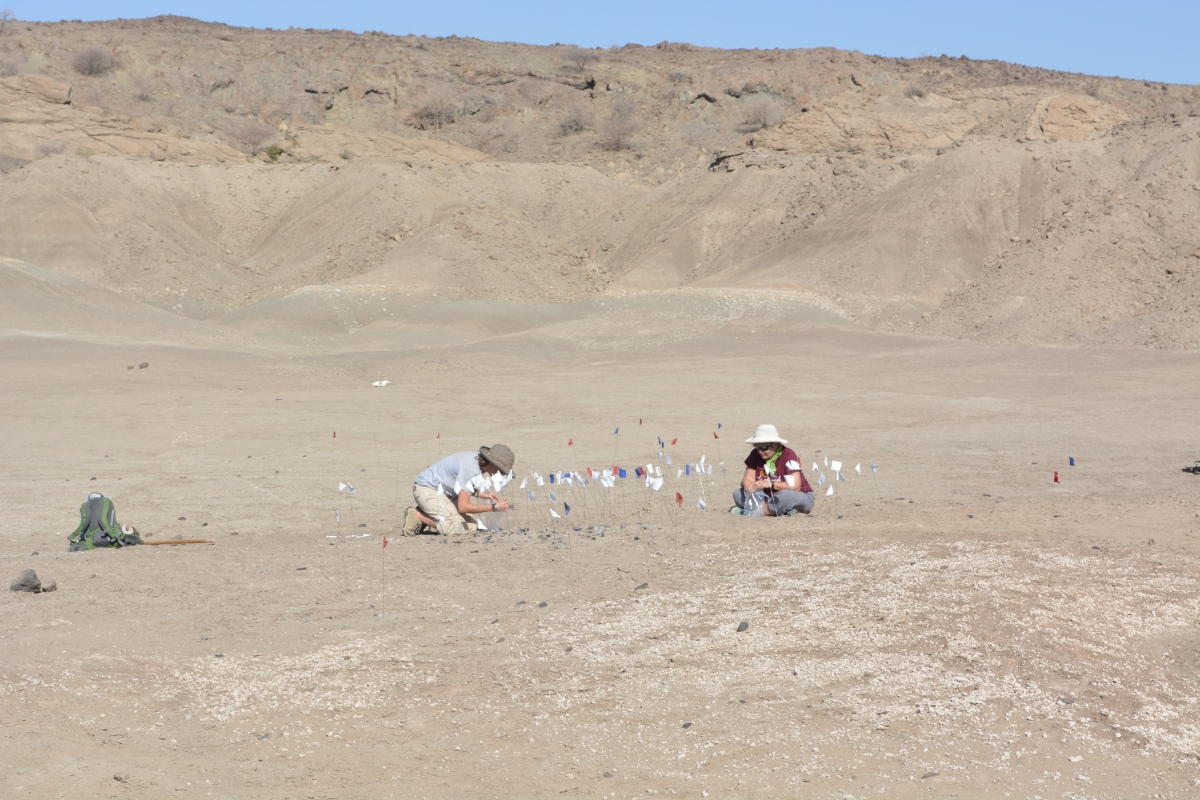 Archaeologists working in rugged terrain.